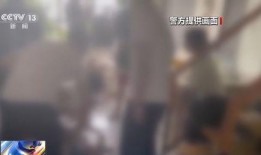 谁爆料盲盒事件真相视频,真相视频曝光惊人内幕
