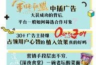 娱乐营销爆料方案范文,揭秘爆款方案范文背后的秘密